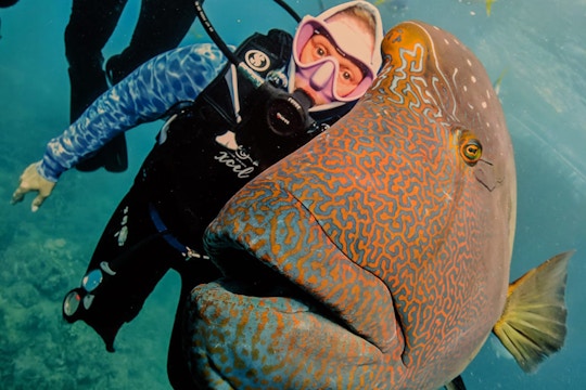 IVHQ volunteer diving with fish on the Marine Conservation project in Australia