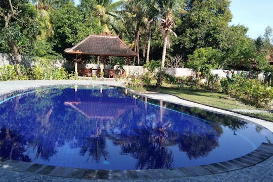 IVHQ volunteer accommodation pool in Lovina, Bali