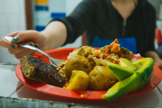 Food Outreach volunteering in Croatia with IVHQ