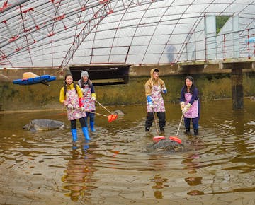 Four volunteers in colorful aprons stand in a large tank, cleaning sea turtles with long-handled brushes under a netted roof.