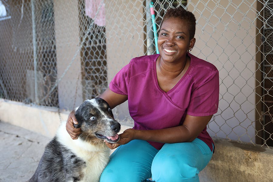 IVHQ Animal care volunteer project local staff in Jamaica