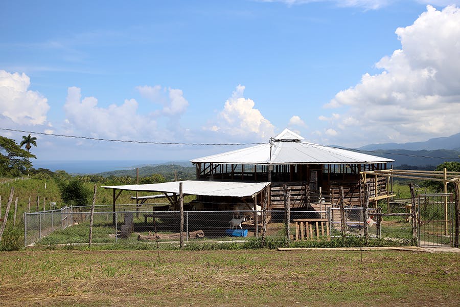 IVHQ Sustainable Agriculture &amp; Community Development project in Jamaica