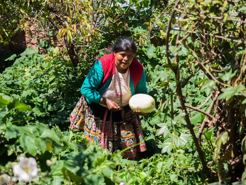 Andean Immersion volunteer in Cusco, Peru with IVHQ