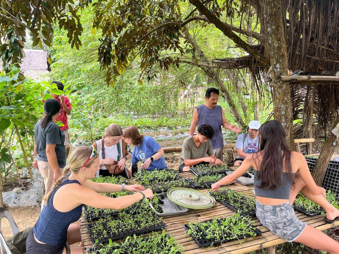 A group of international volunteers sit together whilst preparing seedlings for an environmental project.