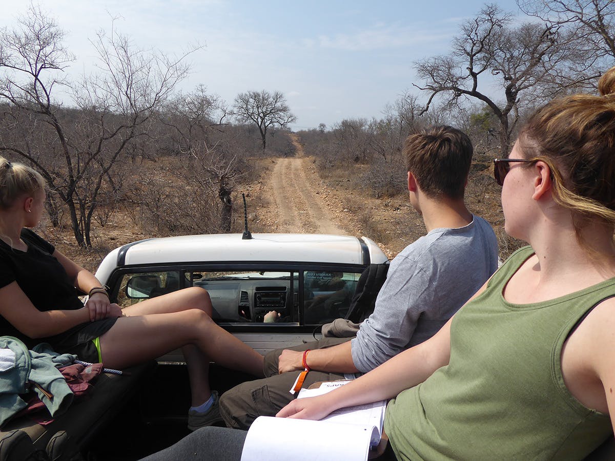 IVHQ Wildlife Conservation volunteers on a driver through Kruger National Park, South Africa