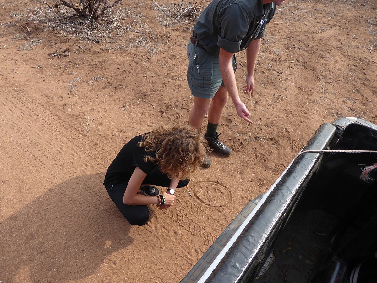IVHQ Wildlife Conservation volunteers tracking animals in South Africa, Kruger National Park