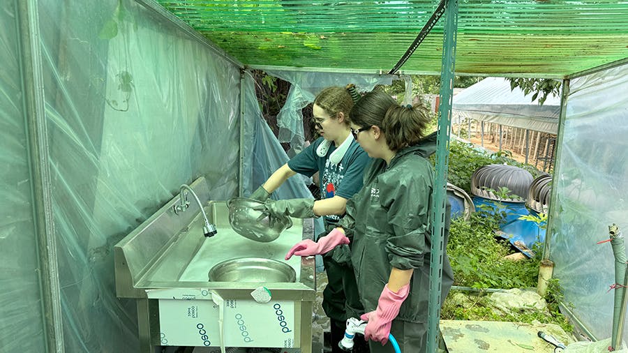 IVHQ volunteers washing bowls at the Animal Care & Rescue project in Seoul, South Korea