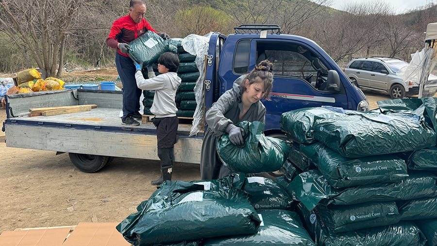 IVHQ volunteers helping the shelter at the Animal Care & Rescue project in Seoul, South Korea