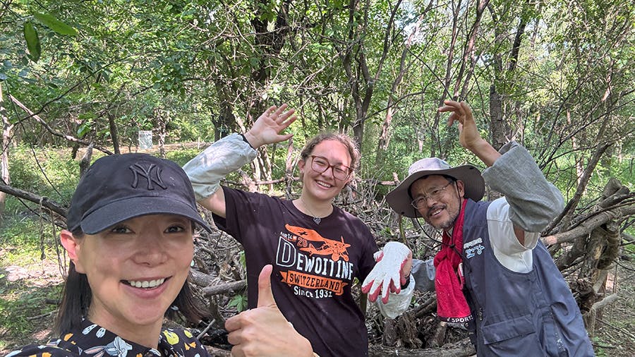 Volunteers at the Ecological Park Rehabilitation volunteer project in Seoul, South Korea with IVHQ