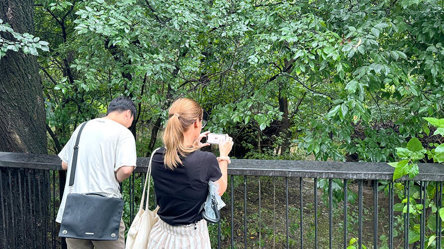 Volunteers at the Ecological Park Rehabilitation volunteer project site in Seoul, South Korea with IVHQ