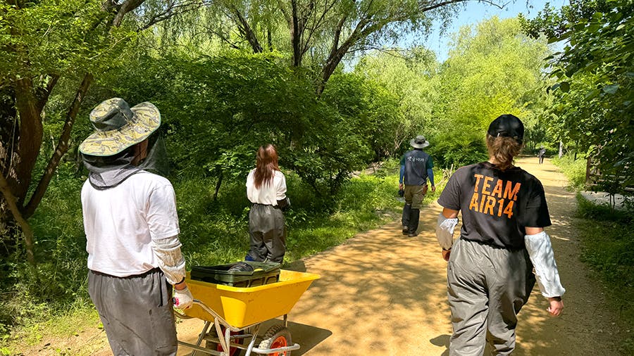Volunteers out on mission at the Ecological Park Rehabilitation volunteer project in Seoul, South Korea with IVHQ