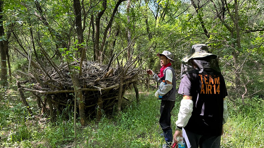 Local team guiding an IVHQ volunteer the Ecological Park Rehabilitation IVHQ project in Seoul, South Korea