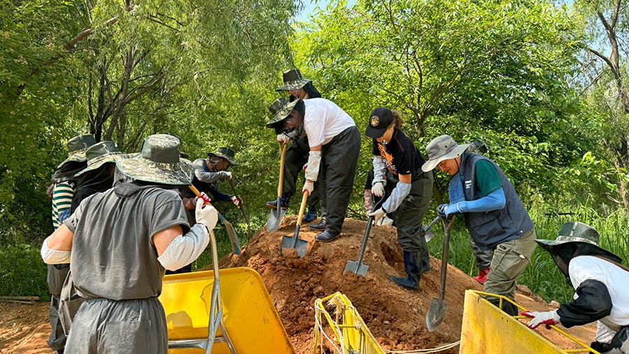 IVHQ Ecological Park Rehabilitation volunteer project in Seoul, South Korea