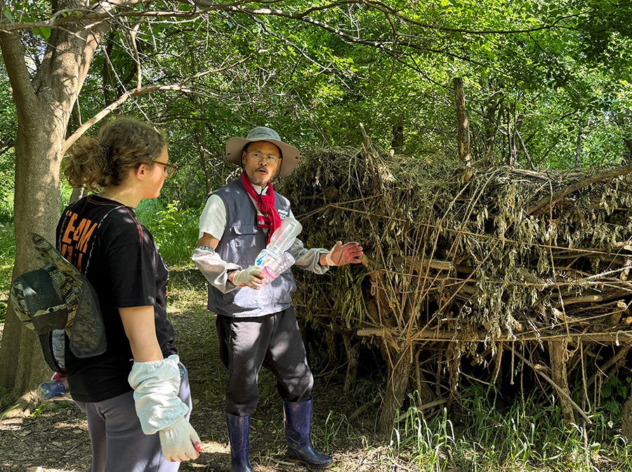 Ecological Park Rehabilitation volunteer project in South Korea with IVHQ