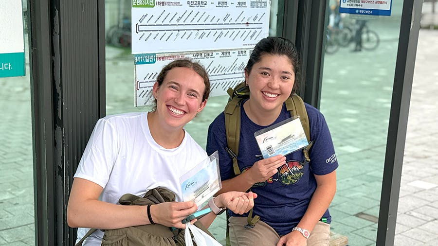 Volunteers taking public transport during their free time at IVHQ