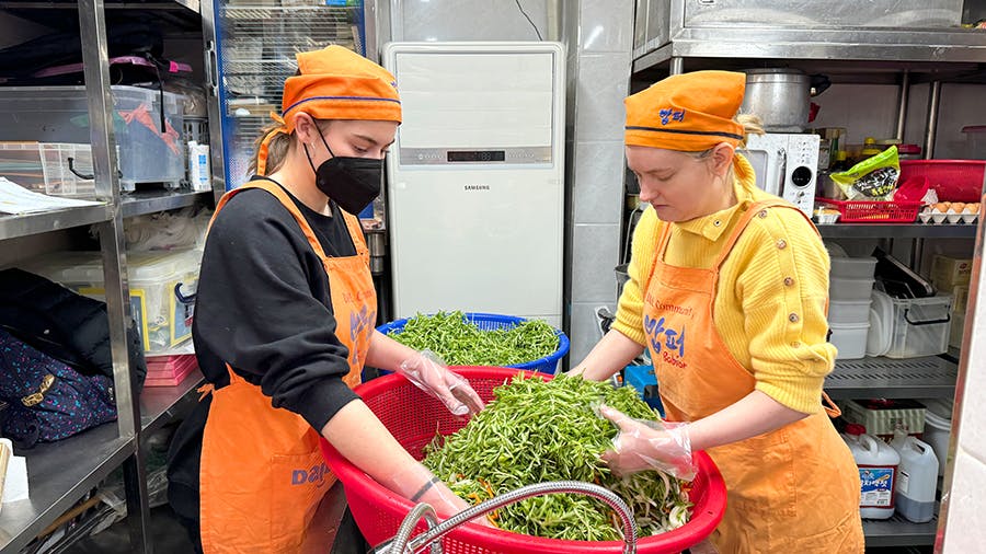 Volunteers washing vegetables at the Soup Kitchen volunteer project in Seoul, South Korea with IVHQ