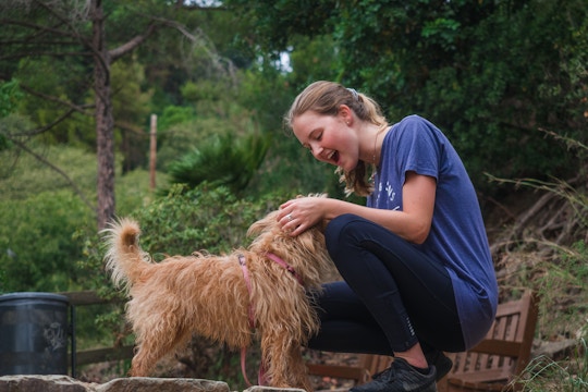 IVHQ Animal Care volunteering in Barcelona, Spain