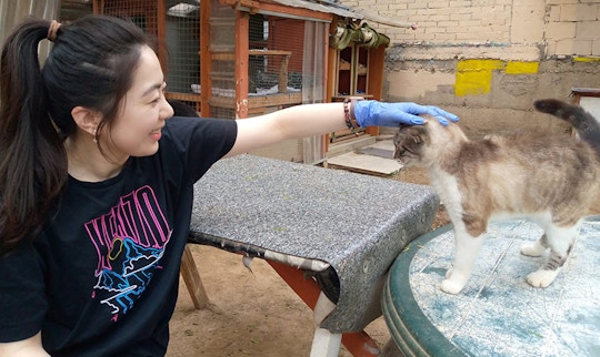 IVHQ Animal Care volunteering in Barcelona