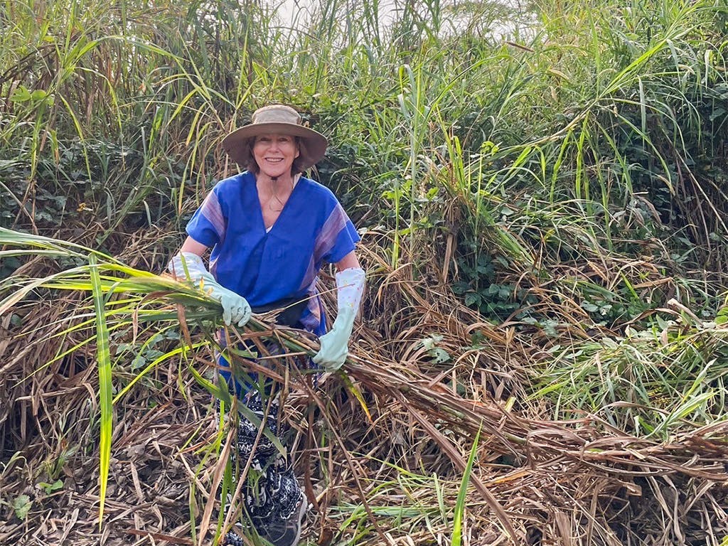 A smiling volunteer in blue scrubs and a sunhat gathers and carries fresh grass in a field, helping to prepare food for elephants.
