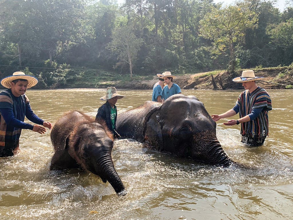 Volunteers and mahouts stand in a river, bathing and interacting with elephants as the animals play in the water.