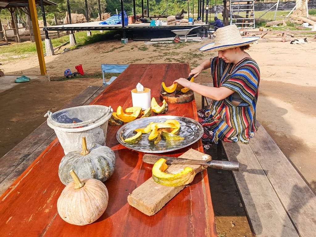 A volunteer in a sunhat slices pumpkins on a wooden table outdoors, preparing food for the elephants at the sanctuary.