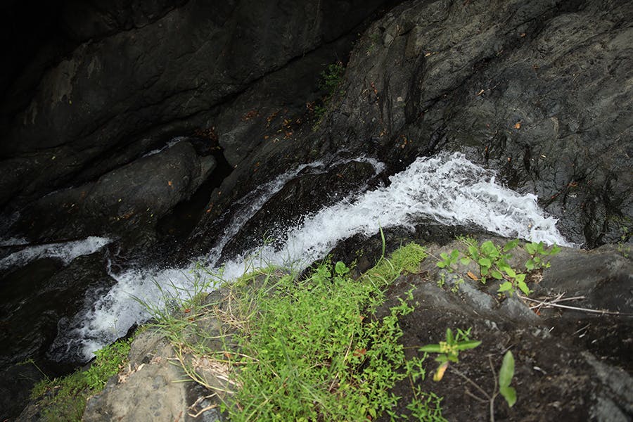 Green Hill Waterfall in Trinidad and Tobago for an IVHQ volunteer weekend activity