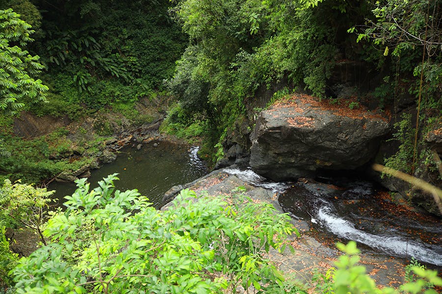 IVHQ volunteer weekend activity at the Green Hill Waterfall in Trinidad and Tobago
