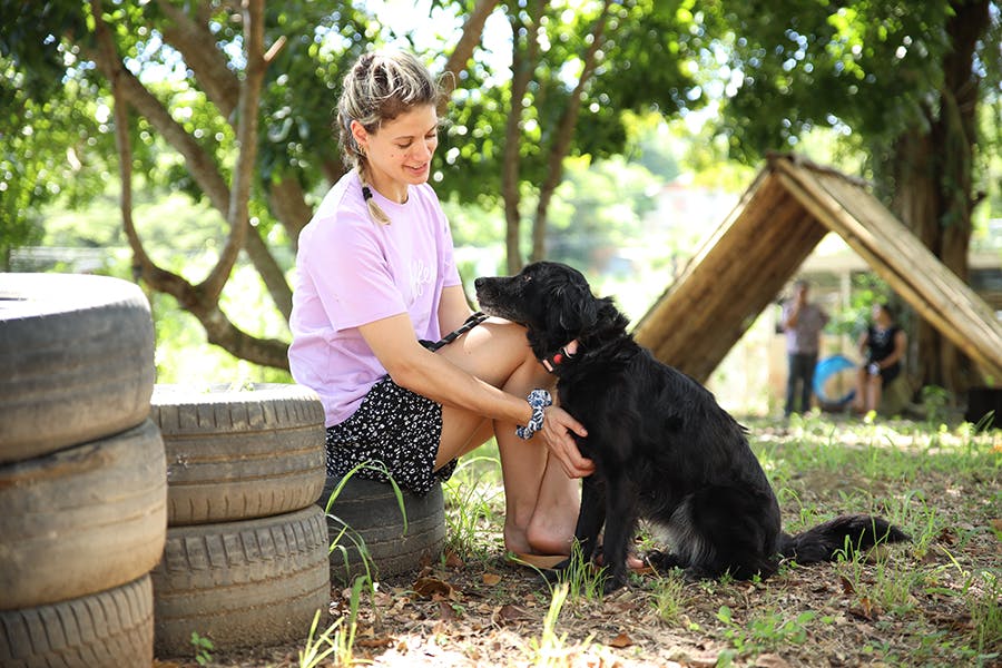An IVHQ volunteer looking after a dog at Animal Care project in Trinidad and Tobago