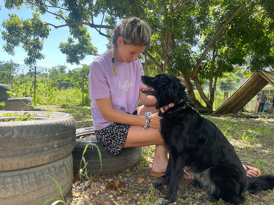 A volunteer getting along with one of the local dog at Animal Care project in Trinidad and Tobago with IVHQ