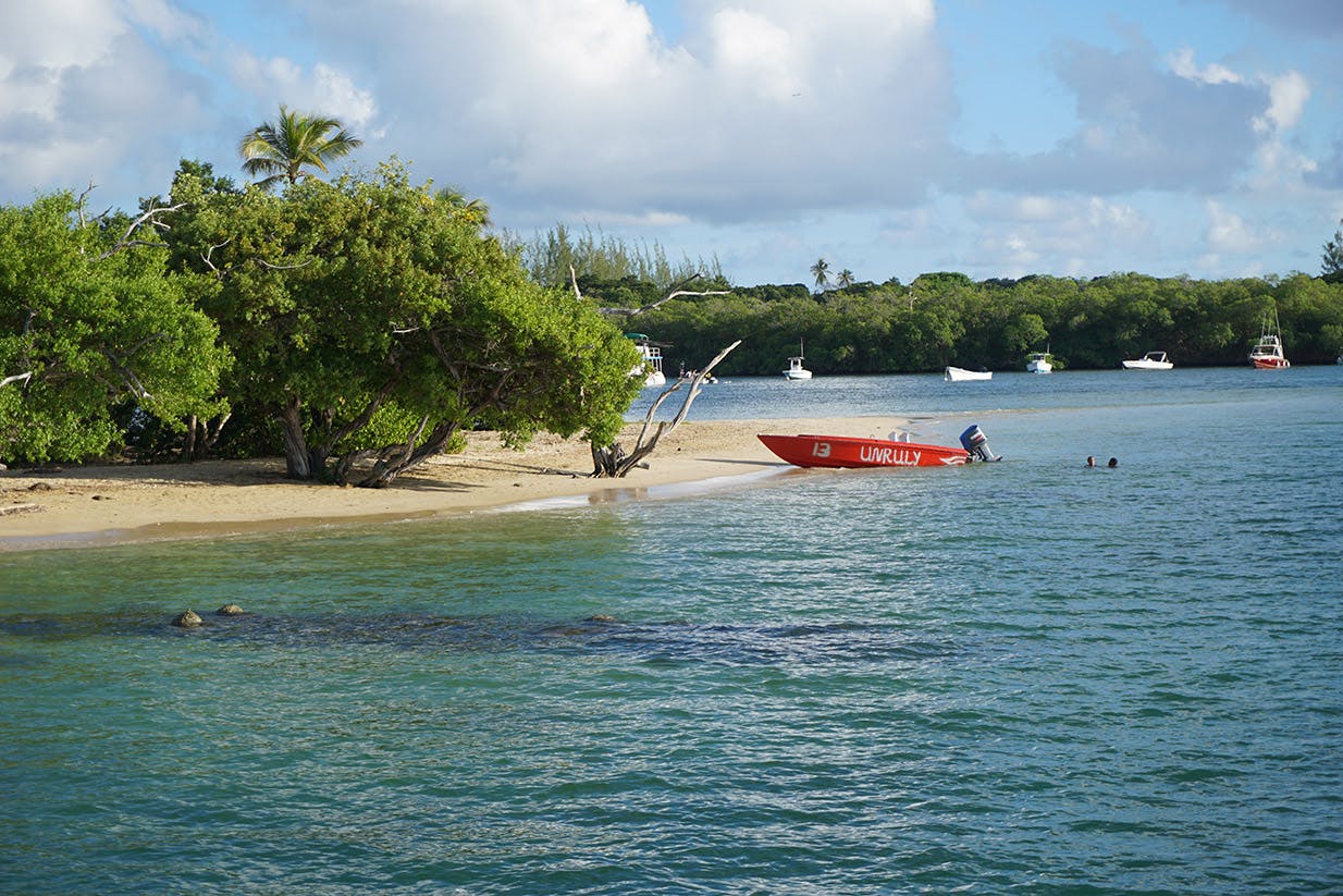 IVHQ Trinidad and Tobago beach volunteers