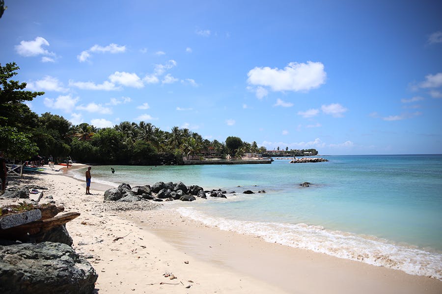 Explore the Trinidad and Tobago beach on IVHQ volunteer weekend