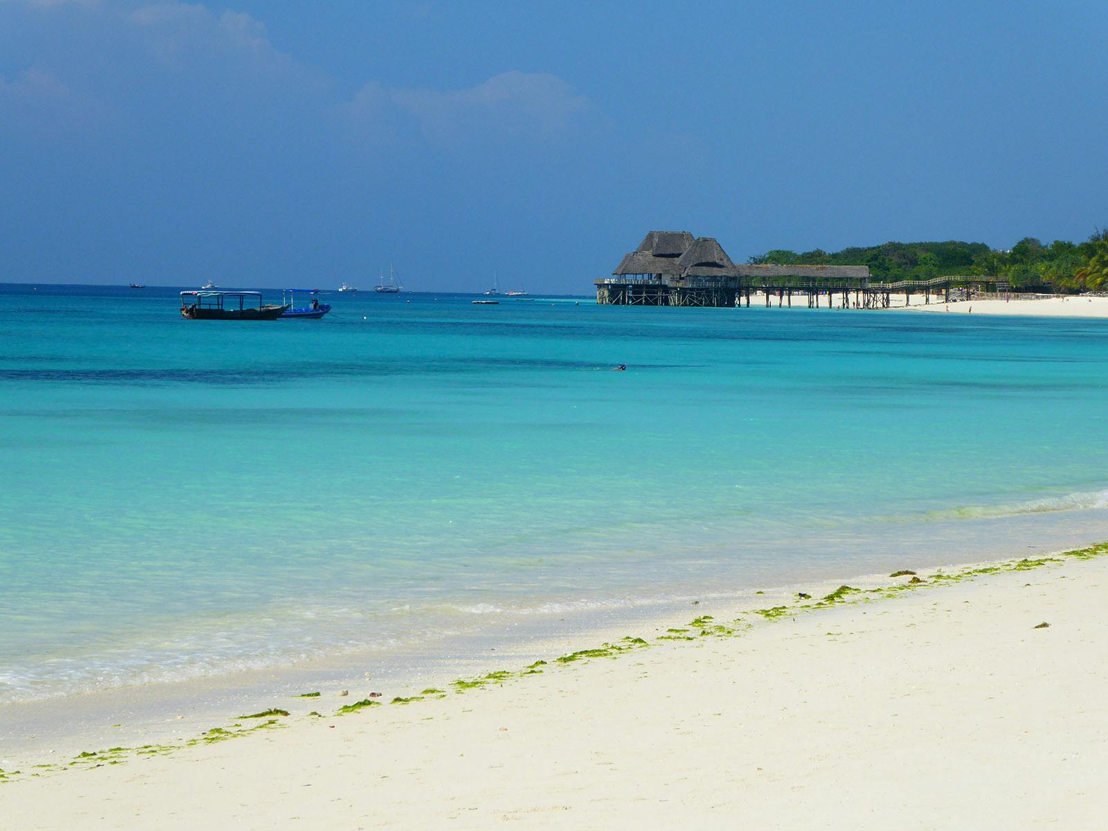 IVHQ volunteers enjoying relaxing in Zanzibar