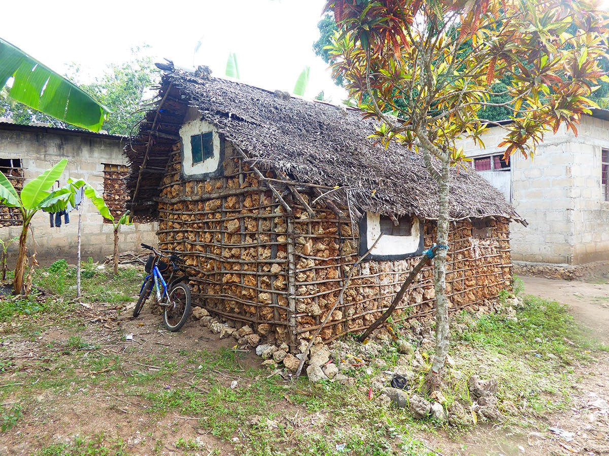 Building houses on the rainforest & coastal conservation volunteer project in Zanzibar with IVHQ