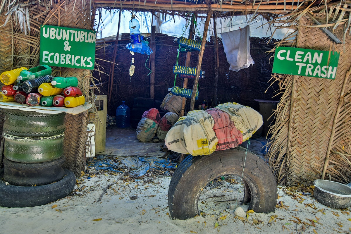 Rainforest and Coastal Conservation Program in Zanzibar Jozani