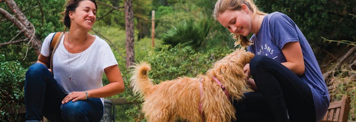 Become a volunteer in Barcelona, Spain with International Volunteer HQ