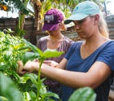 Volunteer Abroad in Cartagena, Colombia with IVHQ