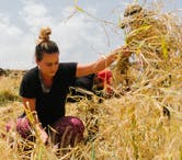 Volunteer Abroad in Marrakech with IVHQ