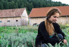 Volunteer Abroad Programs - Volunteer in Romania