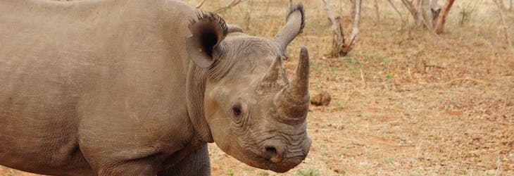 Volunteer in Victoria Falls with International Volunteer HQ