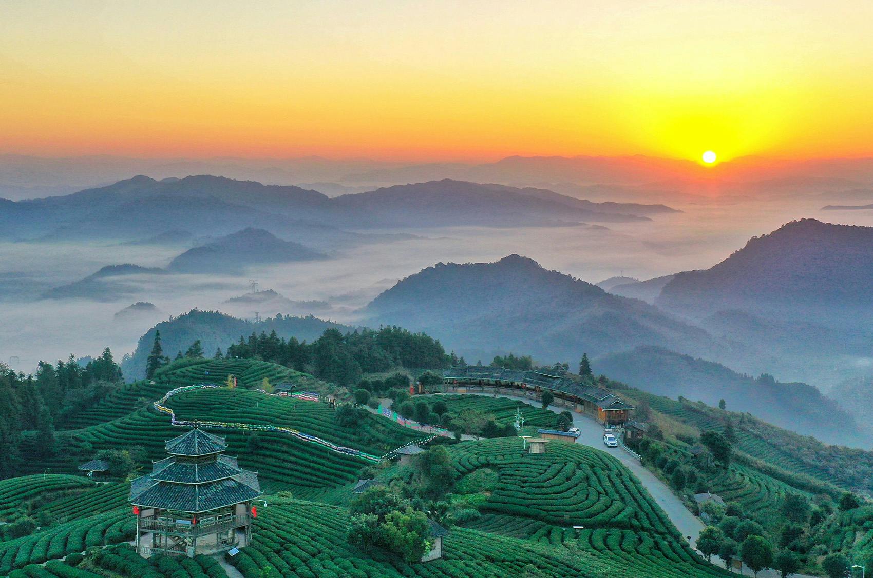 A breathtaking sunrise over misty mountains and lush green tea terraces, with a traditional Chinese pavilion in the foreground and rolling hills fading into the distance.