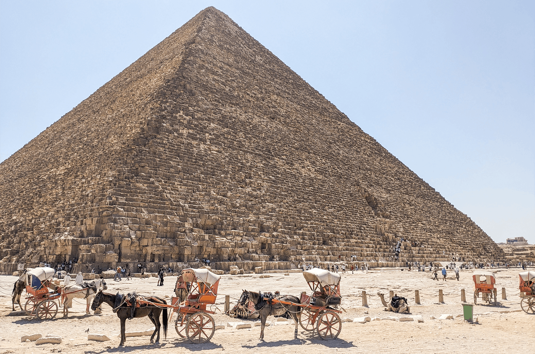 Horse-drawn carriages await visitors in front of the towering Great Pyramid of Giza under a clear blue sky, showcasing one of Egypt’s most iconic and historic landmarks.