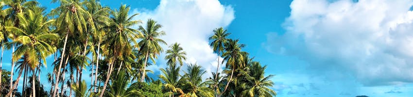 Explore volunteering in Fiji