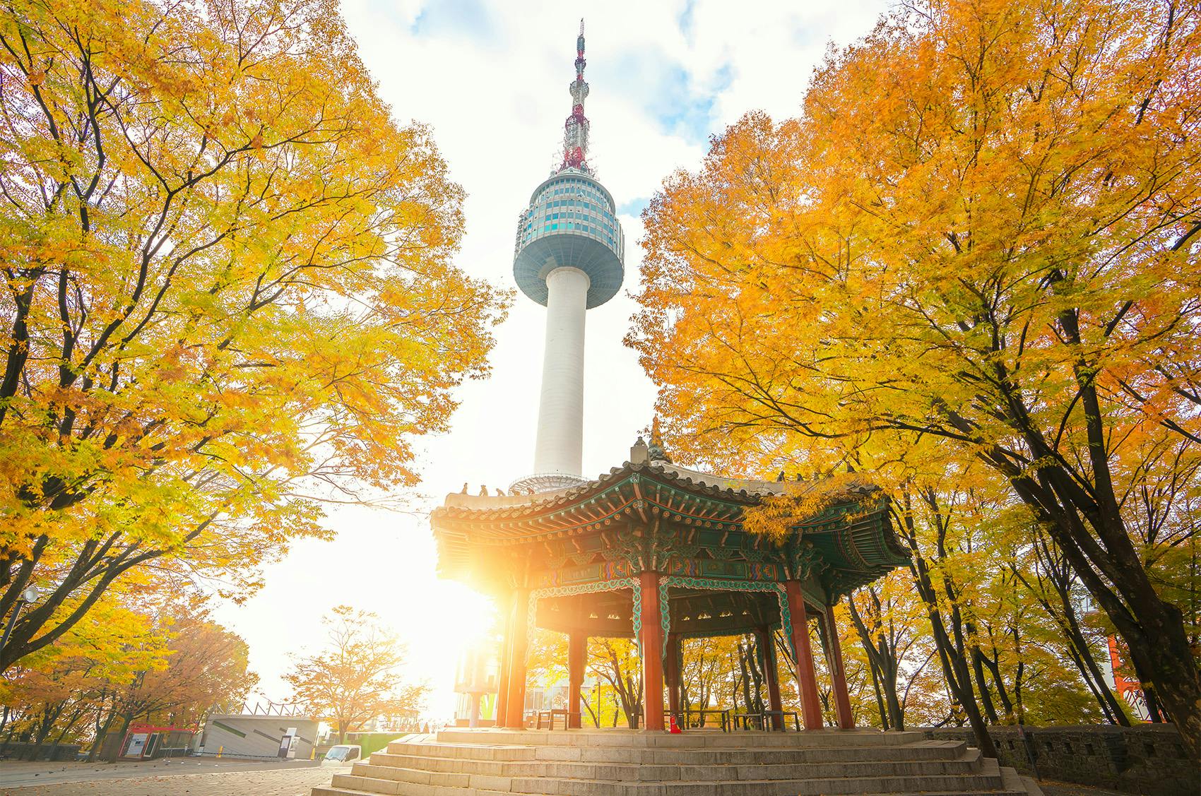 Watch top 10 things to do in South Korea while on a volunteer trip with IVHQ.