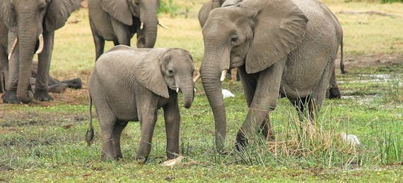 Tanzania
