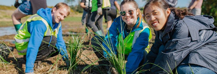 Volunteer in New Zealand with IVHQ