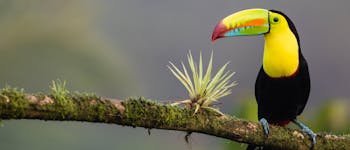 Discover Central America with IVHQ