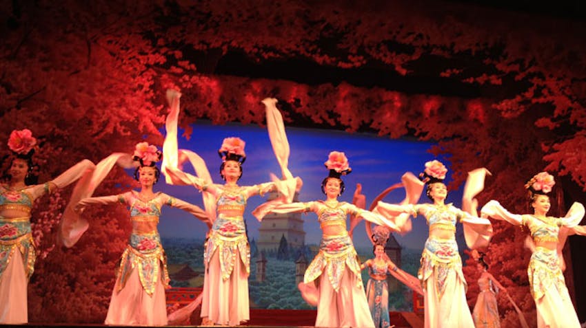 Go catch a show as an IVHQ volunteer