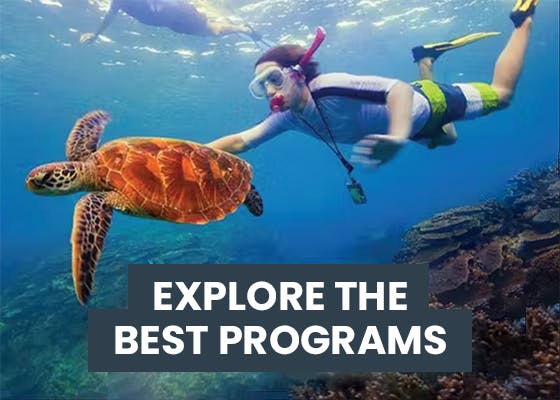 Explore the best volunteer abroad programs with IVHQ