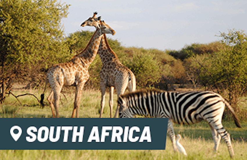 Internship in South Africa