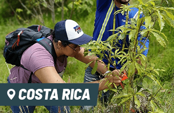 Internships in Costa Rica